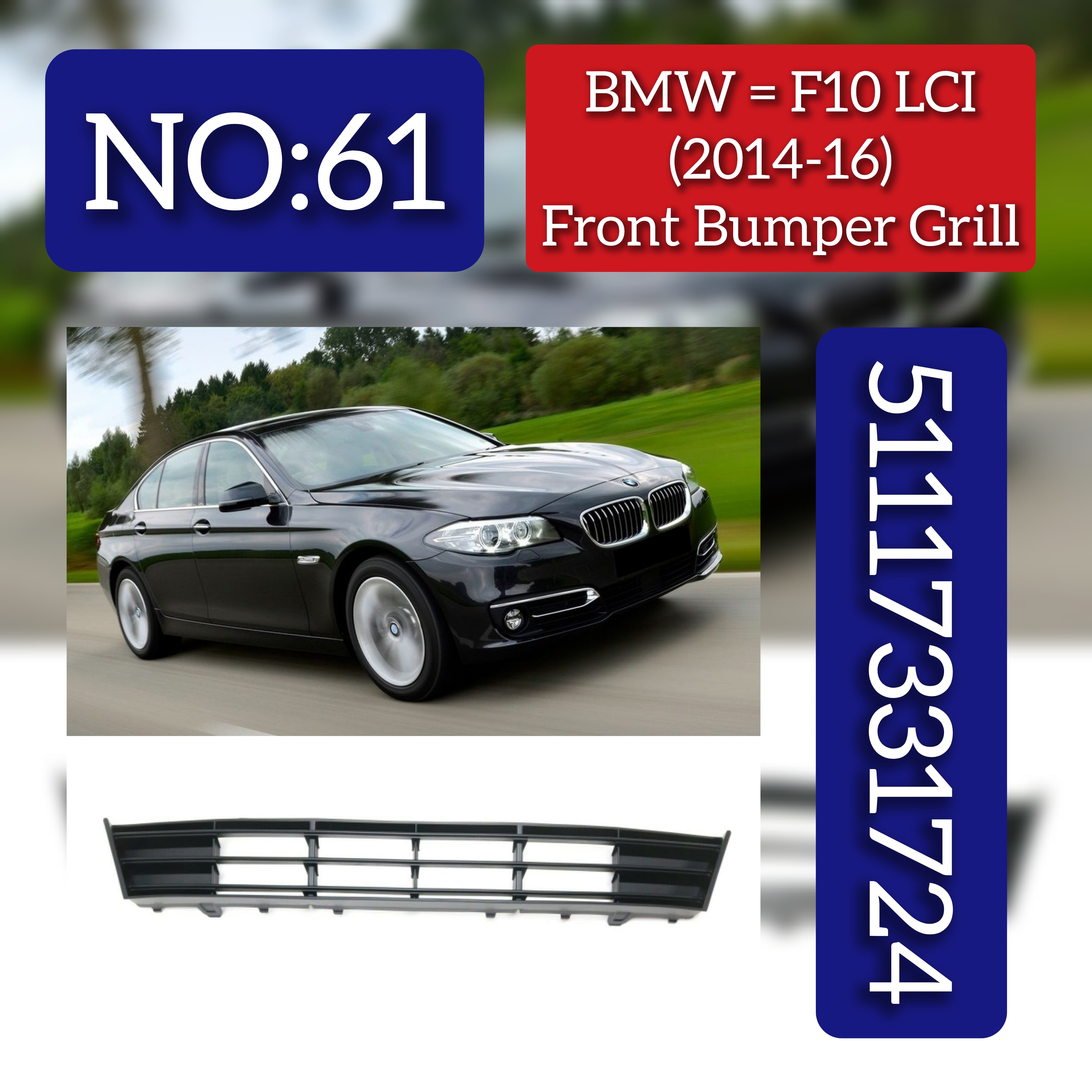 Front Middle Bumper Lower Center Mesh Bezel Grille 51117331724 Compatible With BMW 5 Series  F10 LCI 2014-2016 Tag-BG-61