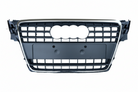 Show Grill Original Compatible With  Audi A4 B8(2009-12) Tag 1