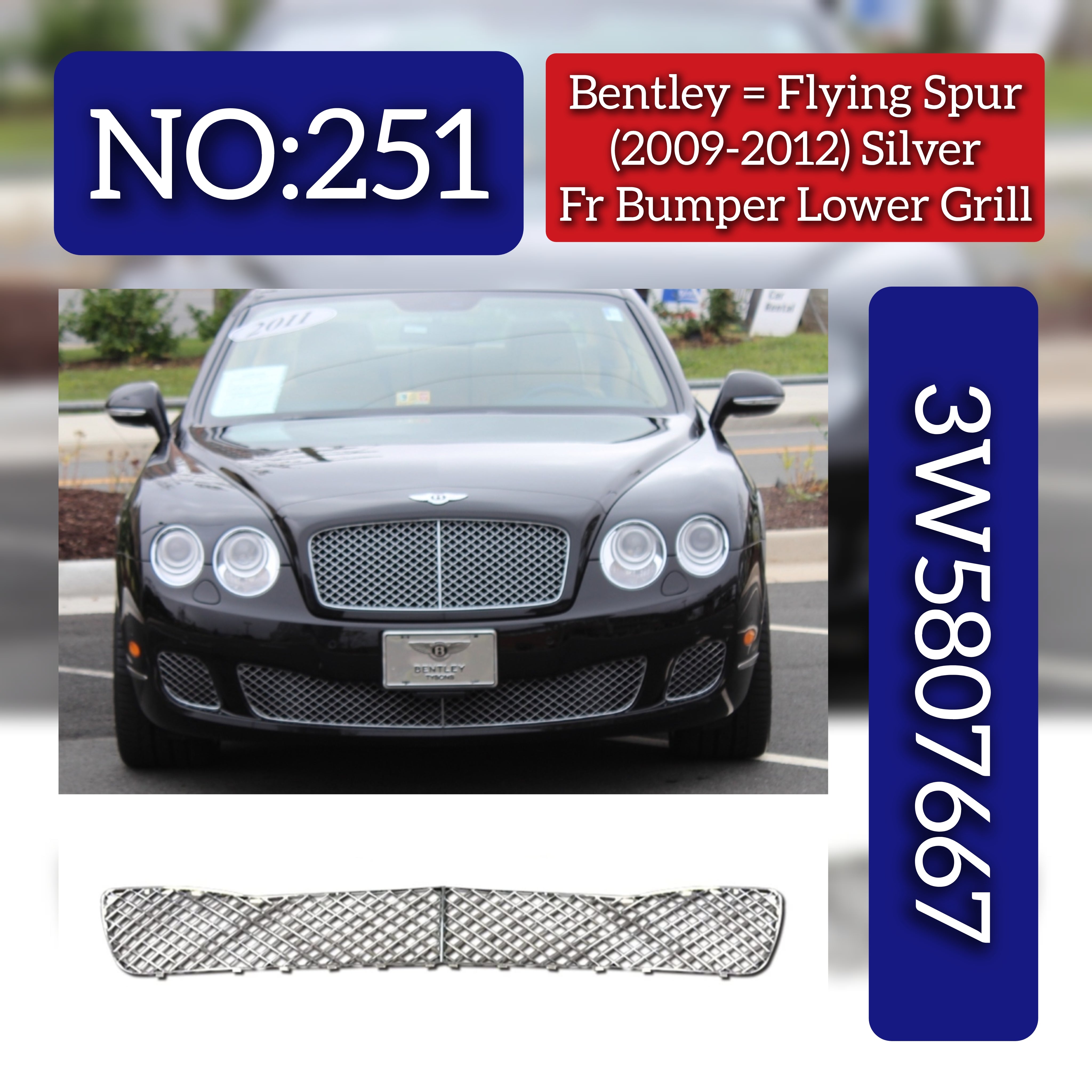 Silver Front Lower Grill 3W5807667 Compatible With Bentley Flying Spur (2009-2012) Tag No.251