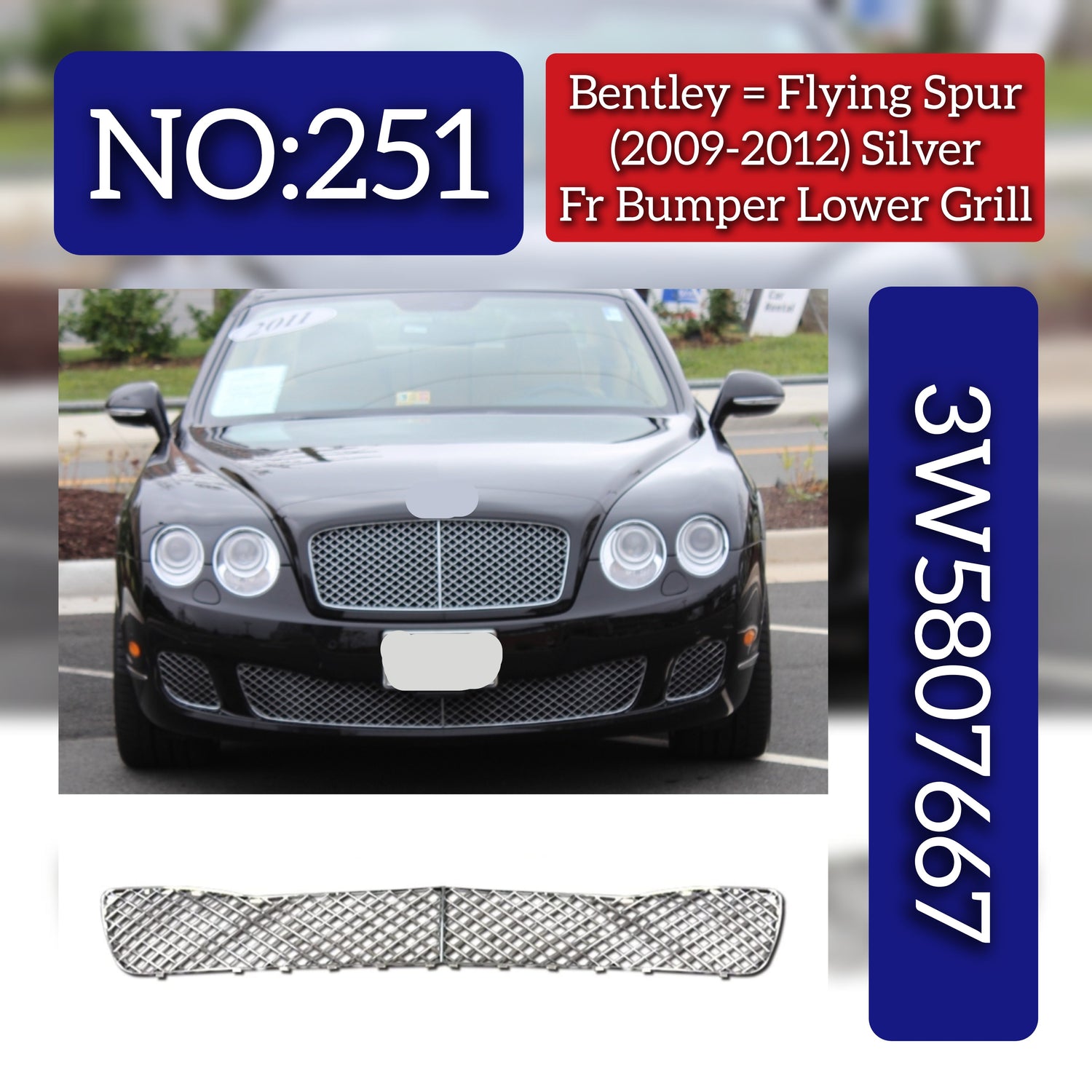 Silver Front Lower Grill 3W5807667 Compatible With Bentley Flying Spur (2009-2012) Tag No.251
