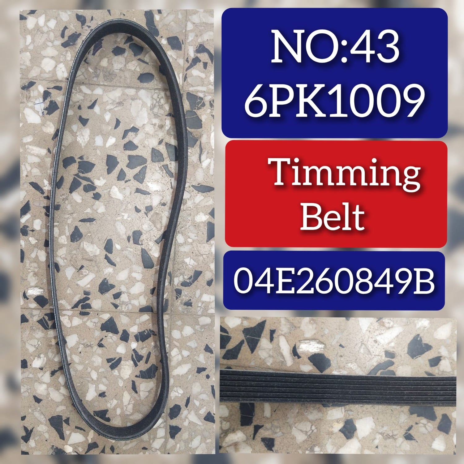 Belt 6PK1009 04E260849B 6019970192 A6019970192 Compatible With AUDI  Tag-BEL-43