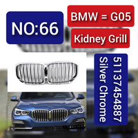 Kidney Grill 51137454887 Silver Chrome  Compatible With BMW X5 G05 Tag 66