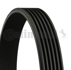 Extra Multi RIB Belt 6PK1441 06M903137AA Compatible With AUDI A8 D5 (4N2, 4N8, 4NC, 4NL) | A8 / S8 | A8L (CONTINENTAL)