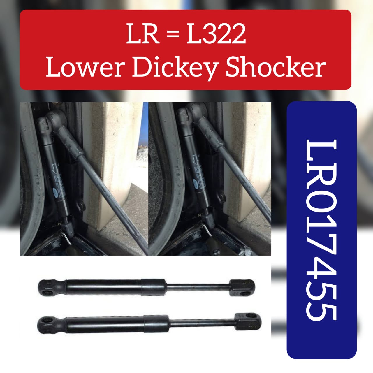 Lower Tailgate Lift Shock Strut LR017455 Compatible with LAND ROVER RANGE ROVER III (L322)
