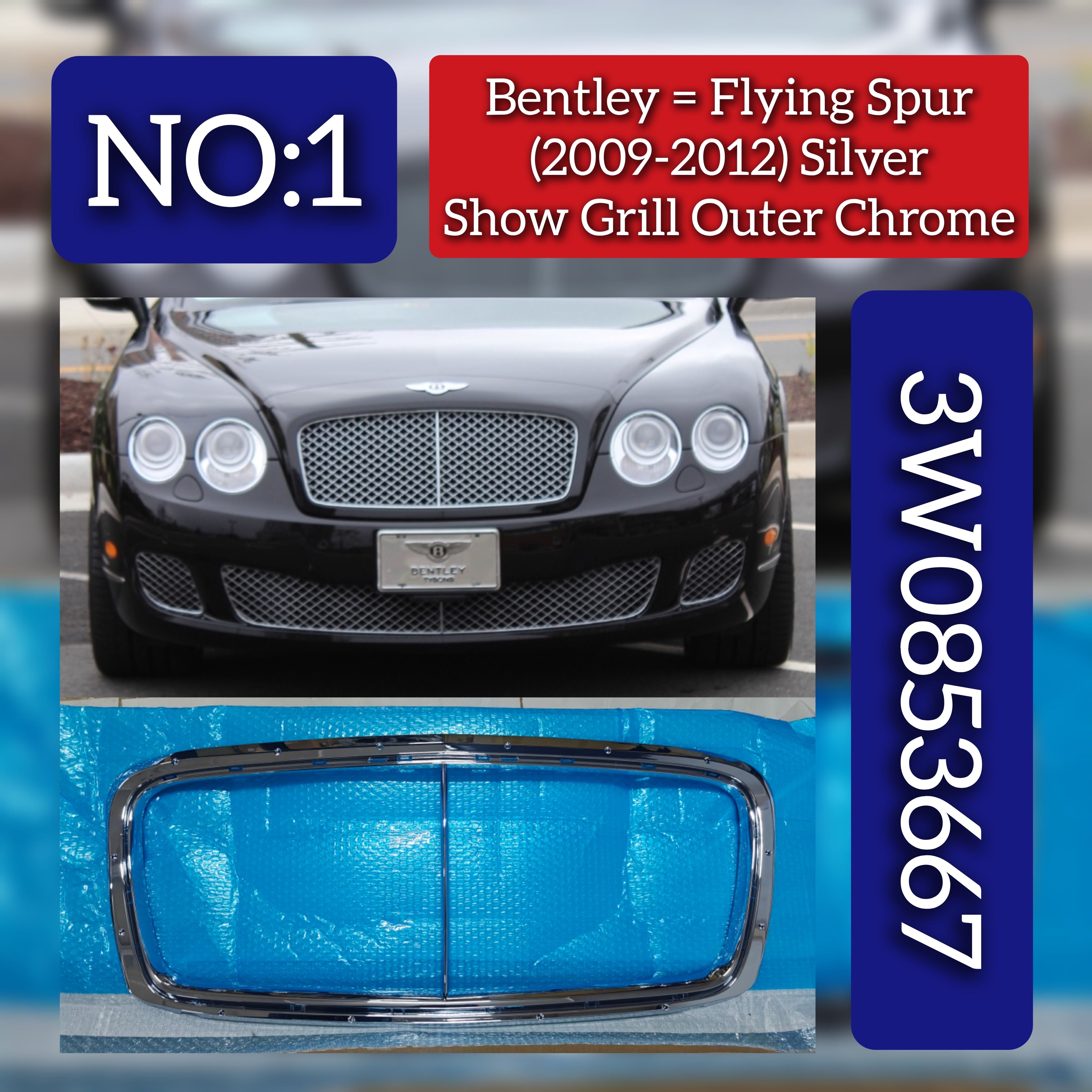 Silver Show Grill Outer Chrome 3W0853667 Compatible With Bentley Flying Spur (2009-2012) Tag No.1