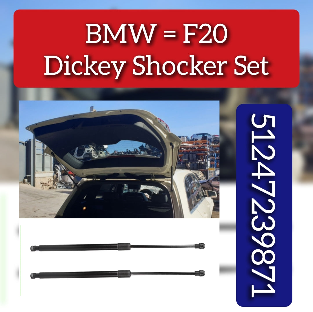 Dickey Shoker set 51247239871 Compatible With BMW F20