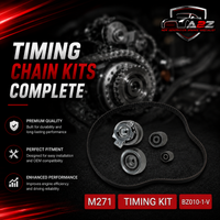 Timing Chain Kit CT1139K2  Compatible with Volkswagen Passat