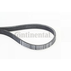 Elast Multi Rib Belt 5PK705 30777417 Compatible With VOLVO S40 || (544) (CONTINENTAL)