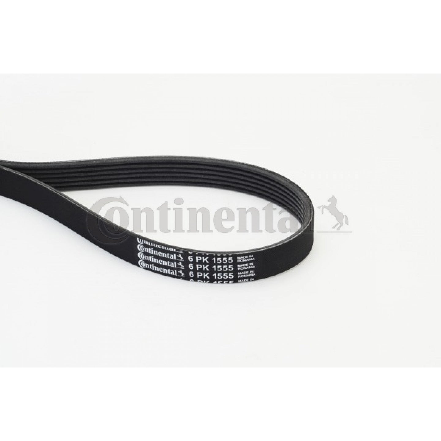Multi Rib Belt 6PK1555 11281427250 Compatible With BMW 5 (E39) (CONTINENTAL) Tag No.7
