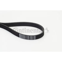 Multi Rib Belt 6PK1555 11281427250 Compatible With BMW 5 (E39) (CONTINENTAL) Tag No.7