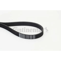 Multi Rib Belt 6PK1555 3473198 Compatible With VOLVO V40 Hatchback (525) (CONTINENTAL)