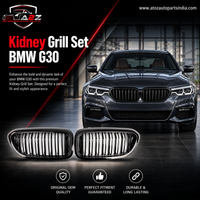 Kidney Grill Set 51137390864 (R.H/L.H) Black color Compatible With BMW 5 Series G30 Tag 54