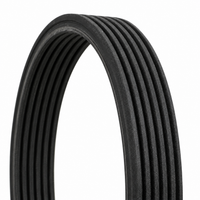 Multi Rib Belt 7DPK1697 11287808107 Compatible With BMW 5 (F10) (CONTINENTAL)