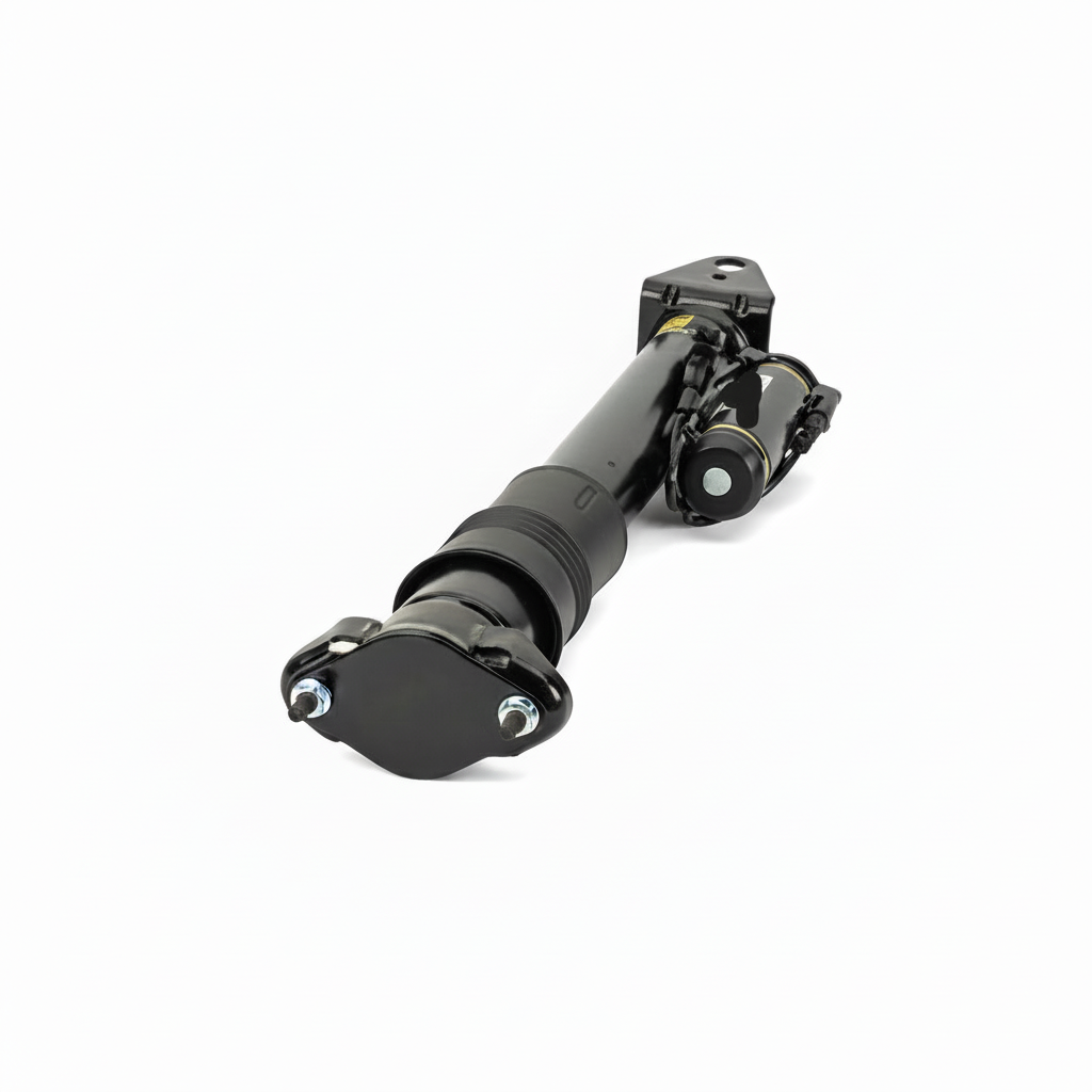Rear Air Suspension Shock Absorber Strut 2513202931 2513202273 2513201831 2513200931 Compatible With MERCEDES-BENZ R-CLASS (W251, V251) (2006-13)