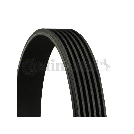 Multi Rib Belt 6PK1117 06J260849D Compatible With SKODA OCTAVIA II (1Z3) | LAURA (CONTINENTAL)