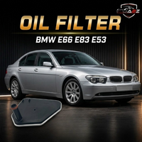 Oil Filter 24117543550 Compatible With BMW E66 E83 E53