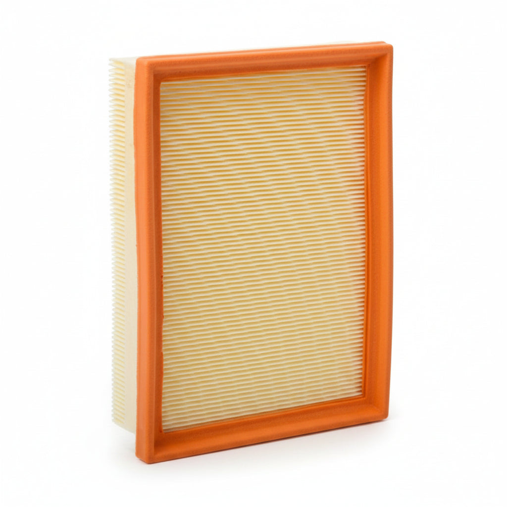 Air Filter .E173L & E173L01 & 13721730449 & LX343 13721730946 13721738462 Compatible With BMW Tag : 165