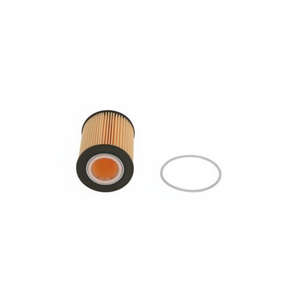 Oil Filter E106H D171 & 30750013 LR001419 LR001441  & OX433D Compatible With VOLVO S60 II (134) & S80 II (124) & XC90 I (275) Tag 115