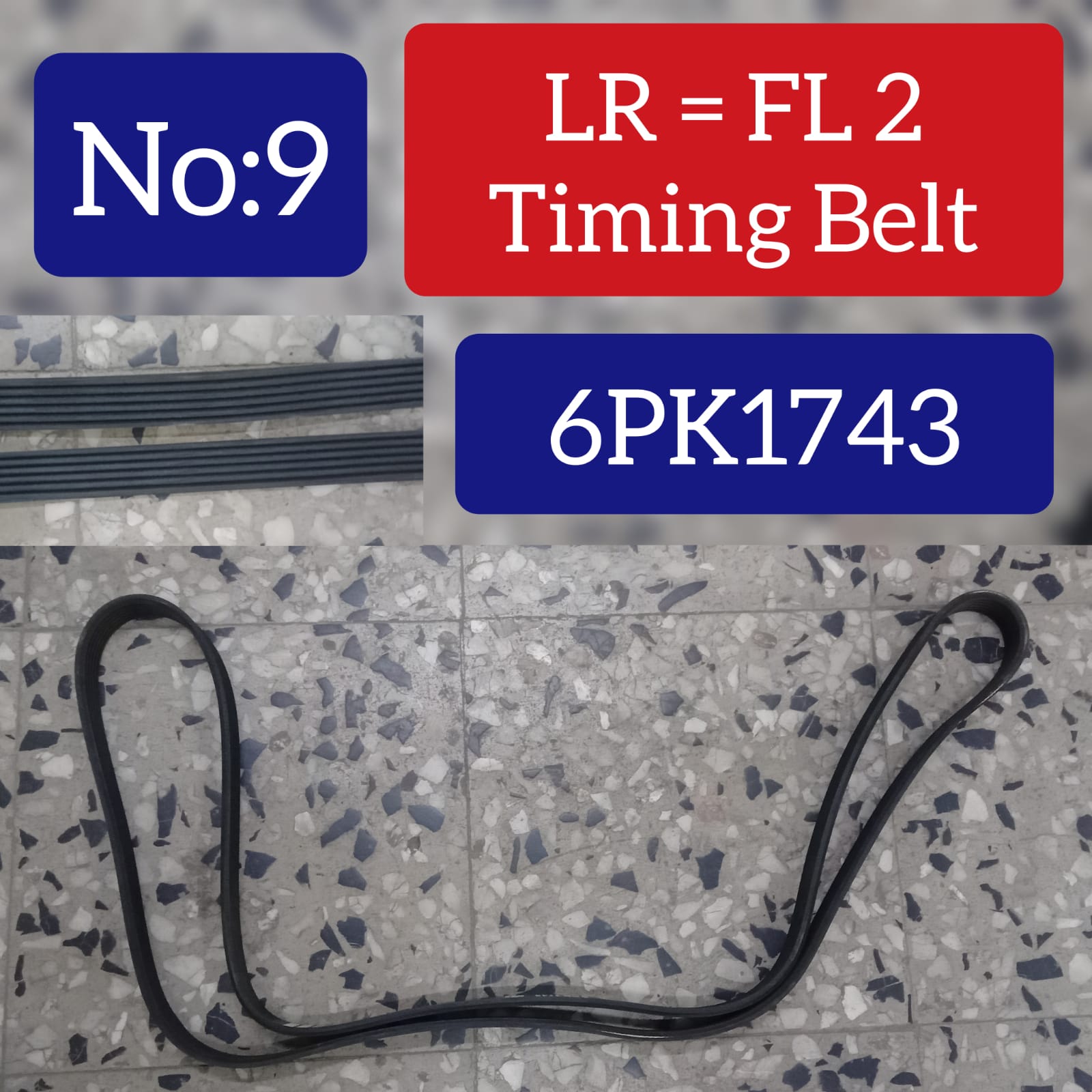 Timing Belt 6PK1743 Compatible With LAND ROVER FREELANDER 2 (L359) | LR2 Tag-BEL-09