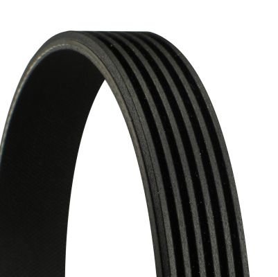 Extra Multi RIB Belt 6PK1441 06M903137AA Compatible With AUDI A8 D5 (4N2, 4N8, 4NC, 4NL) | A8 / S8 | A8L (CONTINENTAL)