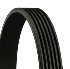 Extra Multi RIB Belt 6PK1441 06M903137AA Compatible With AUDI A8 D5 (4N2, 4N8, 4NC, 4NL) | A8 / S8 | A8L (CONTINENTAL)
