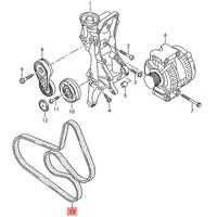 Timing Belt 6PK1590 06H903137C Compatible With Audi A4 B8 (8K2) | A4 / S4 & Q5 (8RB) Tag-BEL-44
