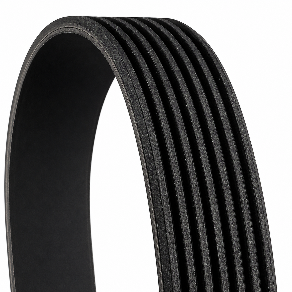 Multi Rib Belt 8PK1785 11287628658 Compatible With BMW 5 (F10) (CONTINENTAL)