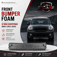Front Bumper Foam Up 51119801602 Compatible With MINI COUNTRYMAN (R60) | (2011-16)