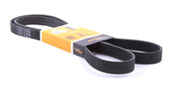 Multi Rib Belt 6PK2160 11287789985 11288477785 8477785 7789985 Compatible With BMW 5 (E60), 7 (E65, E66, E67) (CONTINENTAL)