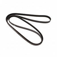 Multi Rib Belt 8PK1955 PQS500450 Compatible With LAND ROVER RANGE ROVER SPORT I (L320) (CONTINENTAL)