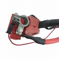 Positive Battery Terminal Cable 61129253111 Compatible With BMW F22