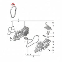 Timing Belt CT1169 04E121605F Compatible With SKODA OCTAVIA III (5E3, NL3, NR3) (CONTINENTAL)