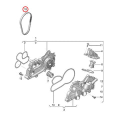 Timing Belt CT1169 04E121605F Compatible With SKODA OCTAVIA III (5E3, NL3, NR3) (CONTINENTAL)
