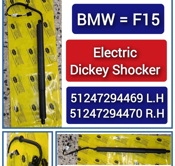Dickey Electric Shock Absorber Strut Left 51247294469 Right 51247294470 Compatible With BMW X5 (F15, F85) (germany)