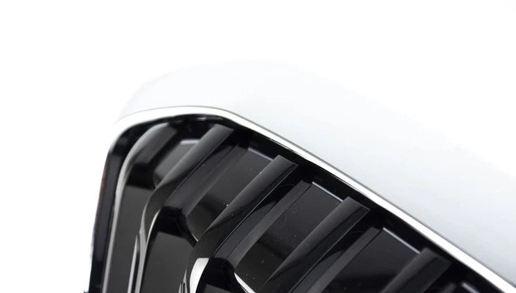 Front Bumper Show Grill With Camera Hole 51138075666 Compatible with BMW  3 Series G20 Tag No.109