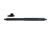 Tailgate Gas Spring Strut Right 1647400645 Compatible With Mercedes Benz W164 GL