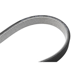 Multi Rib Belt 6DPK1817 11287800345 11287800333 11287800562 Compatible With BMW 3 (E90), 5 (E60) (CONTINENTAL)