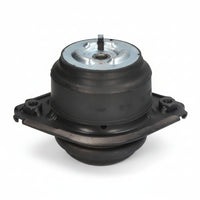Engine Mount 2512404317 A2512404317 2512403017 Compatible With Mercedes Benz W251 W164