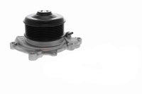 Water Pump WPS3072 A6422002001 Compatible With MERCEDES-BENZ E-CLASS (W212), E-CLASS (W213), GL-CLASS (X166), GLE (W166), R-CLASS (W251, V251), S-CLASS (W222, V222, X222) (CONTINENTAL)