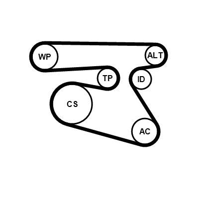 Multi Rib Belt Kit 5PK1960K1 Compatible With MERCEDES-BENZ C-CLASS (W205) CLS (C257) E-CLASS (W213) GLC (X253) GLE (V167) V-CLASS (W447) | VALENTE (CONTINENTAL)